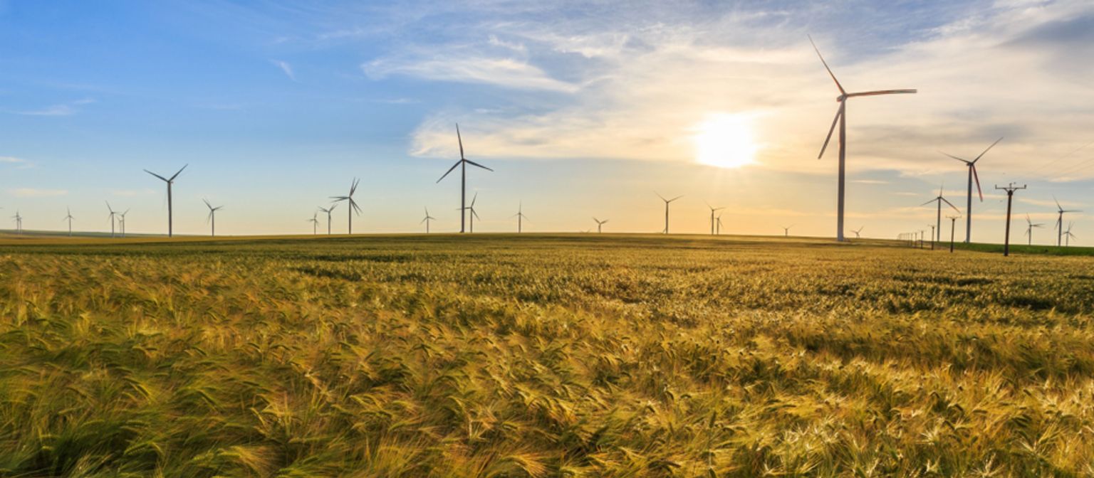 EOS KSI and CEZ have a successful partnership. Thanks to the expertise of the debt collection experts, Romania's largest producer of green energy achieves every year better results. 